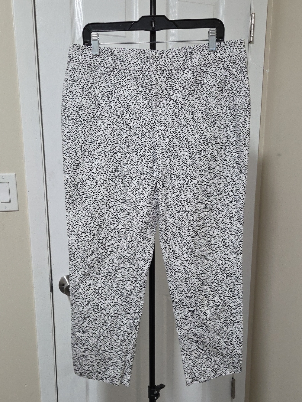 Lord & Taylor Cotton Blend Black and White Printed Chinos